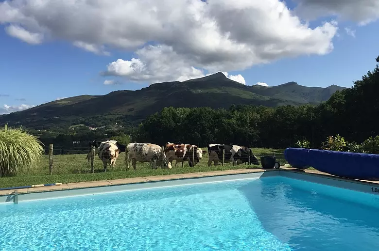 Berdeana 10 - Location villa de luxe - Aquitaine / Pays Basque - ChicVillas - 38